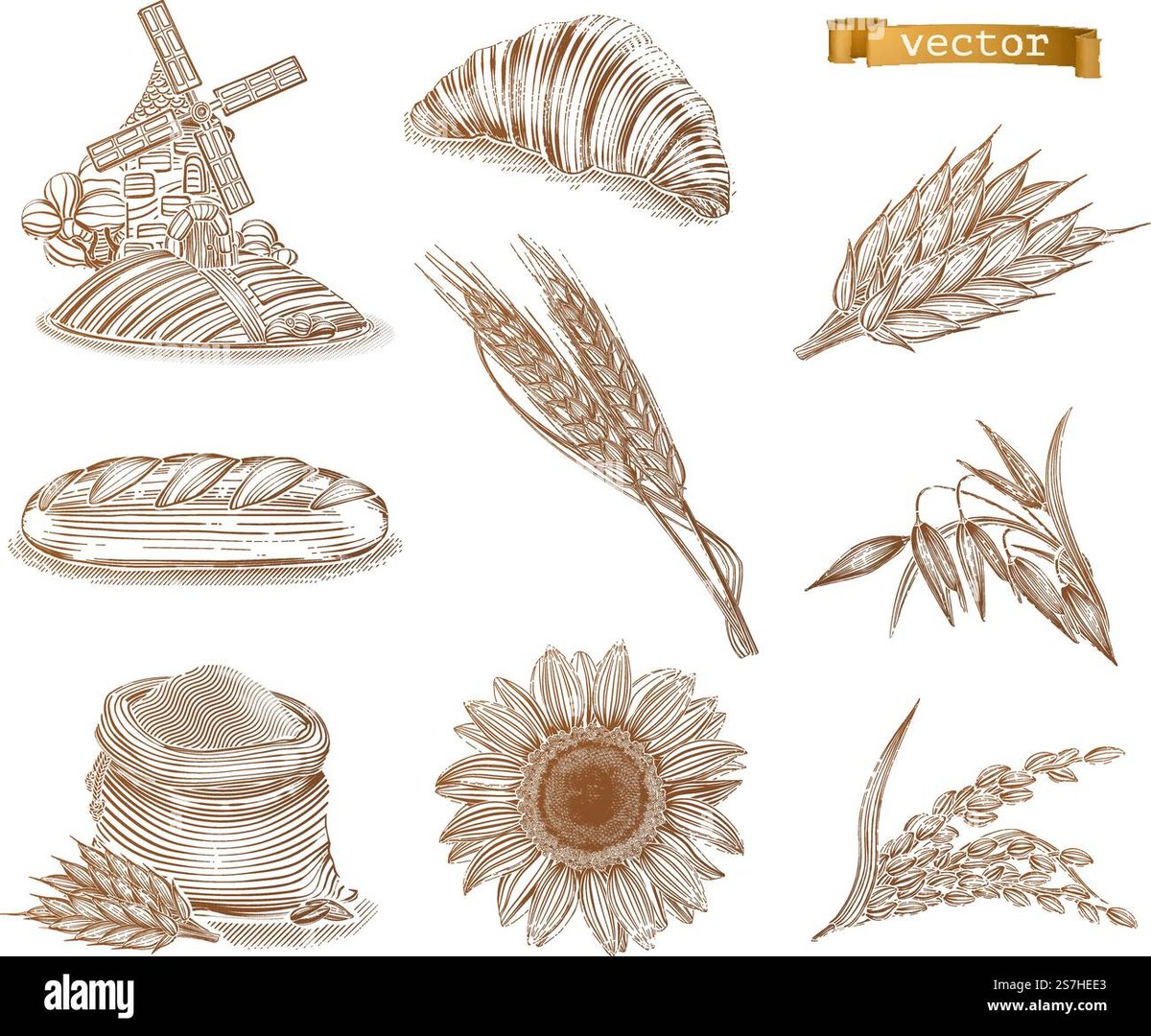 How Old Is Levi Ackerman in Inuyasha? He Isnt There